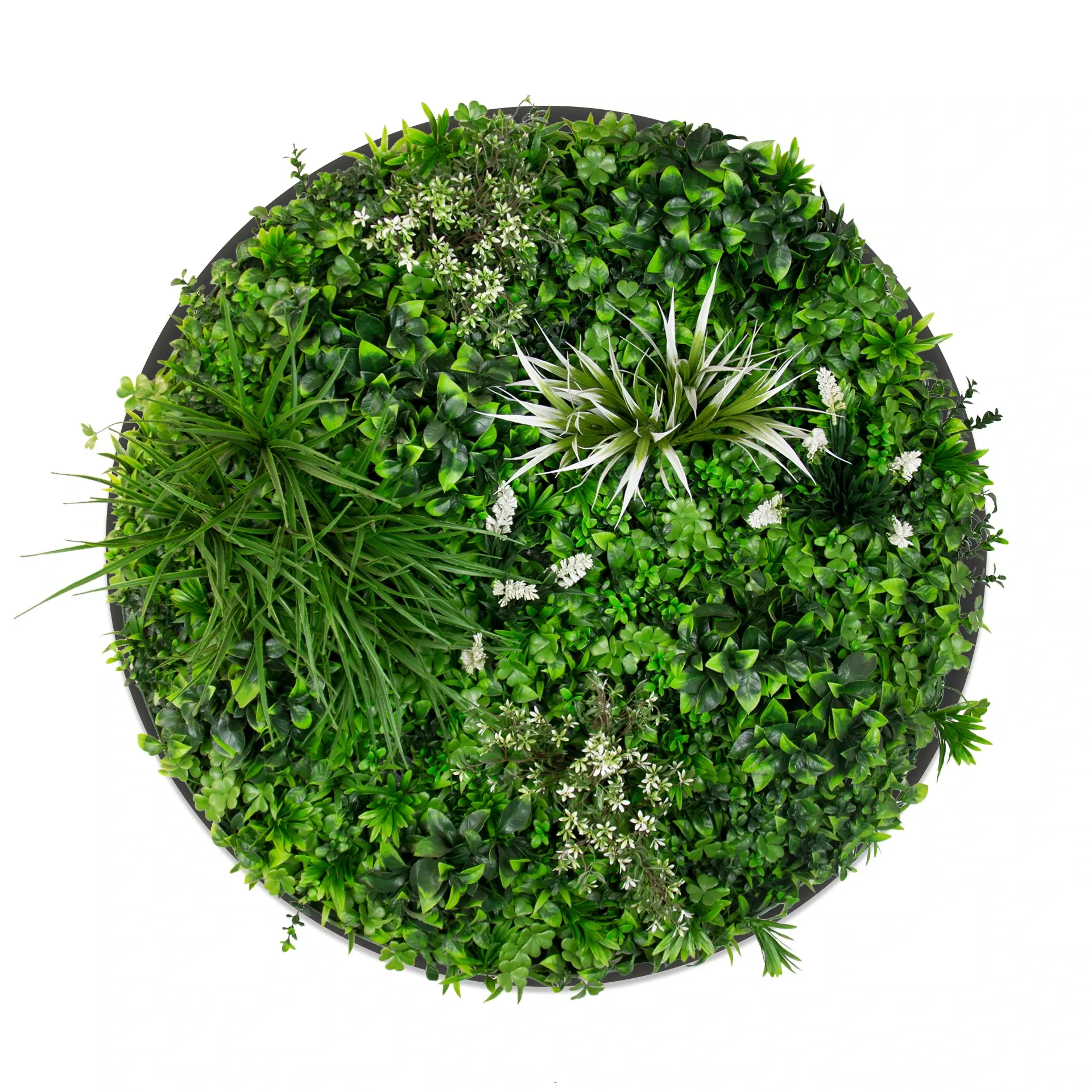 Triple Green Disc Bundle - 3 x Spring (S,M,L)